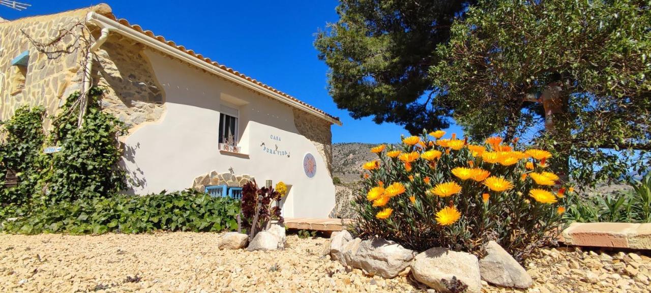 Casa Pura Vida Bed & Breakfast Relleu Exterior photo